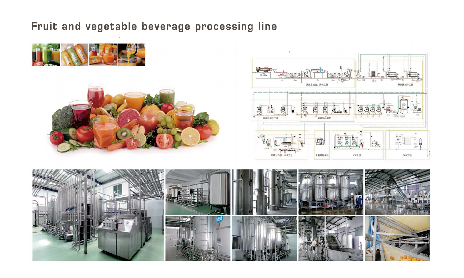 EN果蔬饮料类加工生产线