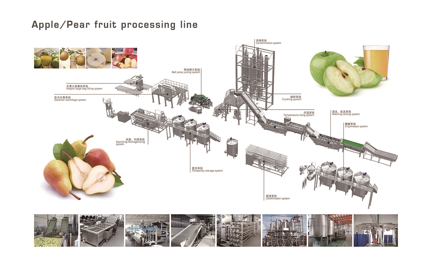 EN苹果、梨类水果加工生产线