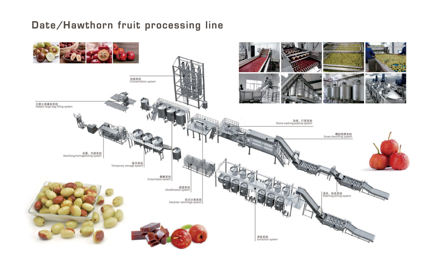 EN枣、山楂类水果加工生产线