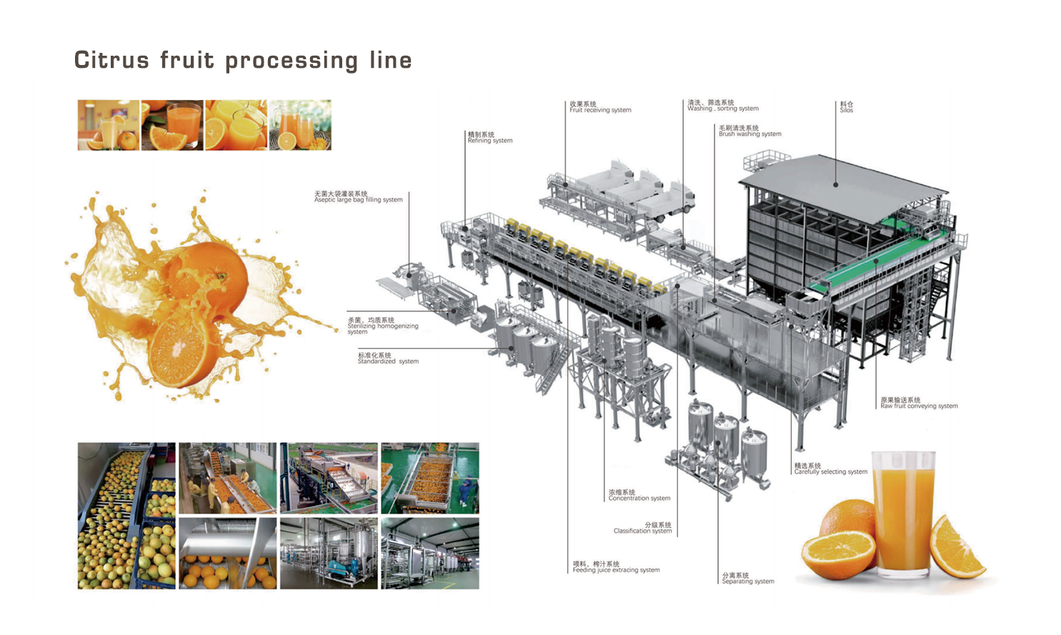 EN柑橘类水果加工生产线